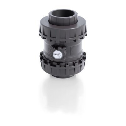 SXEGV - Easyfit True Union ball and spring check valve