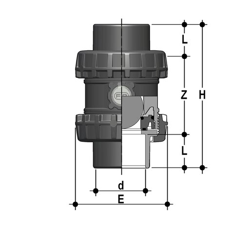 SXEJV - Easyfit True Union ball and spring check valve