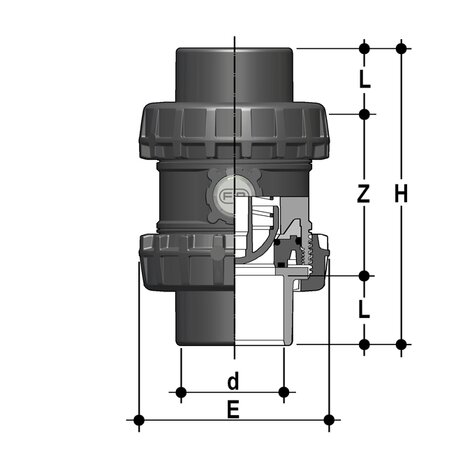 SSEJV - Easyfit True Union ball and spring check valve
