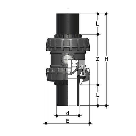 SSEBEV - Easyfit True Union ball and spring check valve